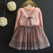 Load image into Gallery viewer, Girl Mesh Princess Dress for Summer