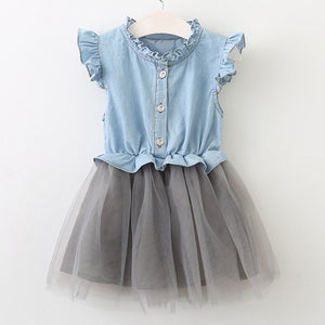 Girl Mesh Princess Dress for Summer